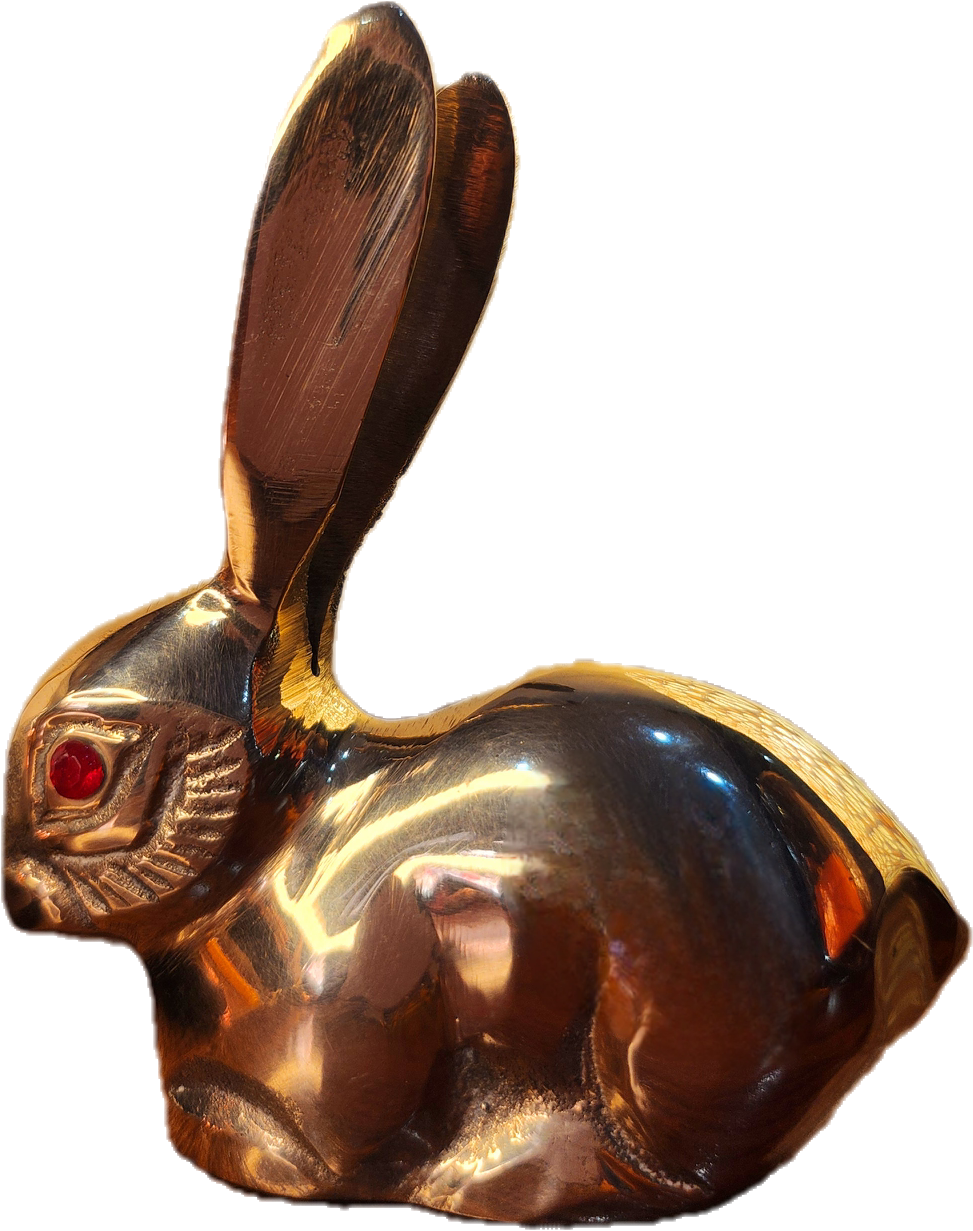 Rabbit